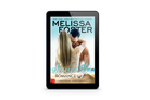 Bayside Romance Ebook
