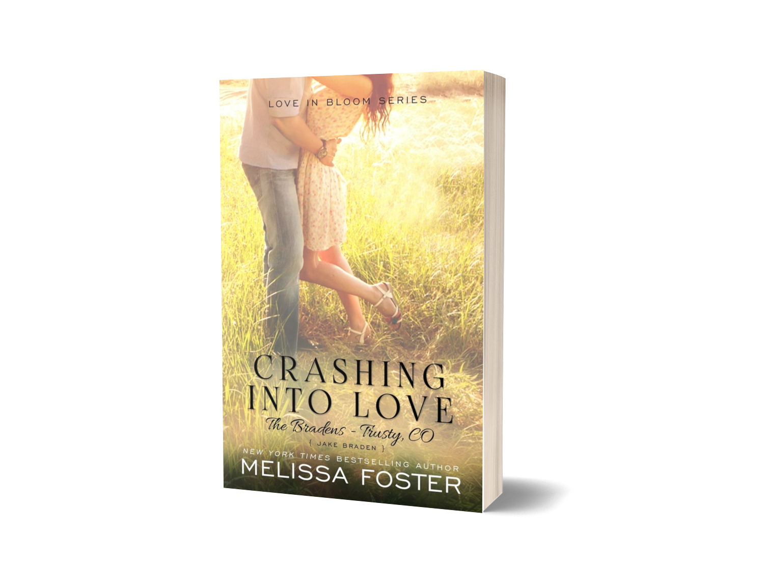 Crashing Into Love Paperback