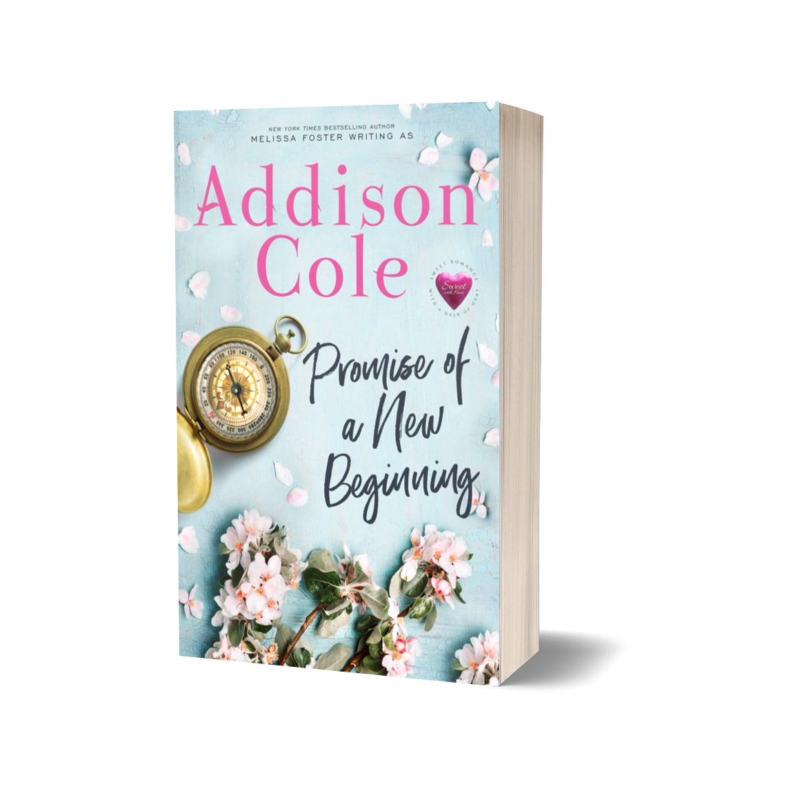 Promise of a New Beginning Paperback