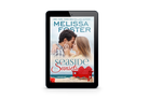 Seaside Sunsets Ebook