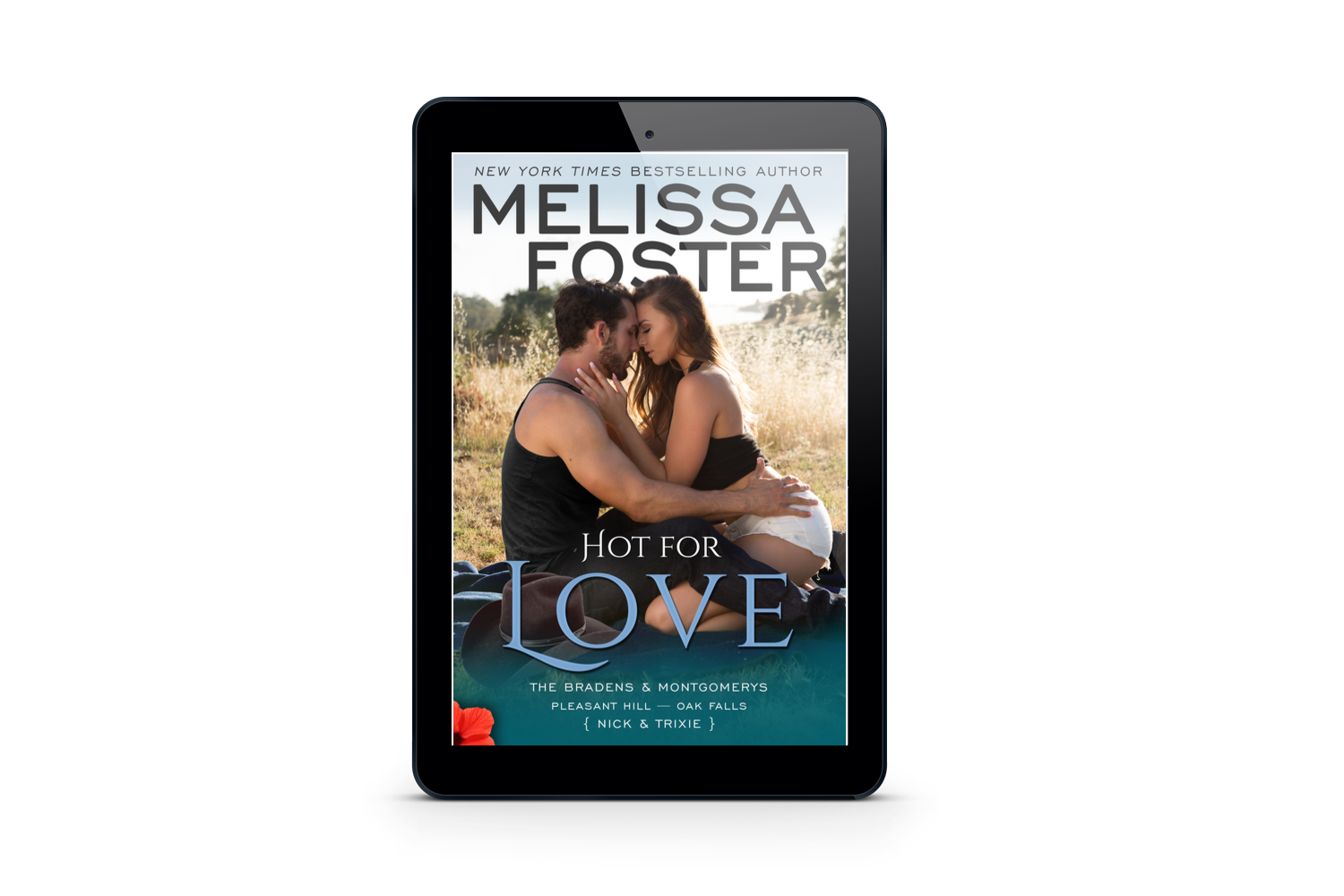 Hot for Love Ebook