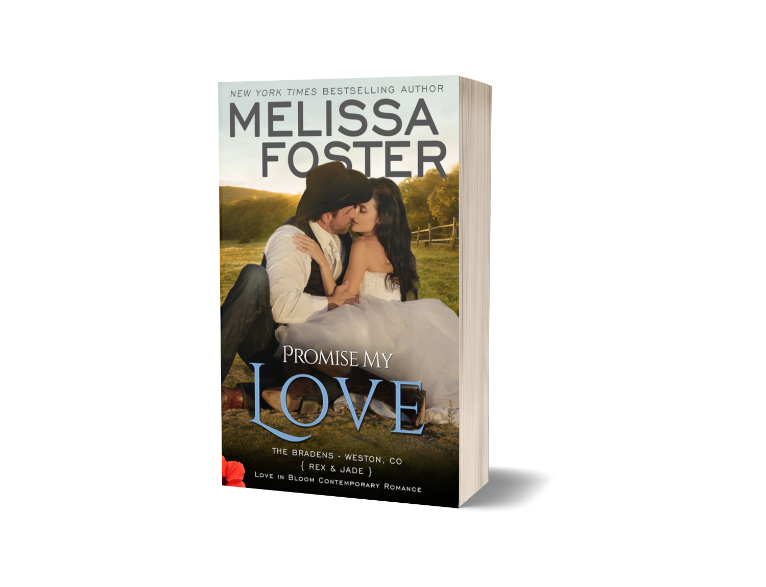 Promise My Love (The Bradens, Novella Collection) Paperback