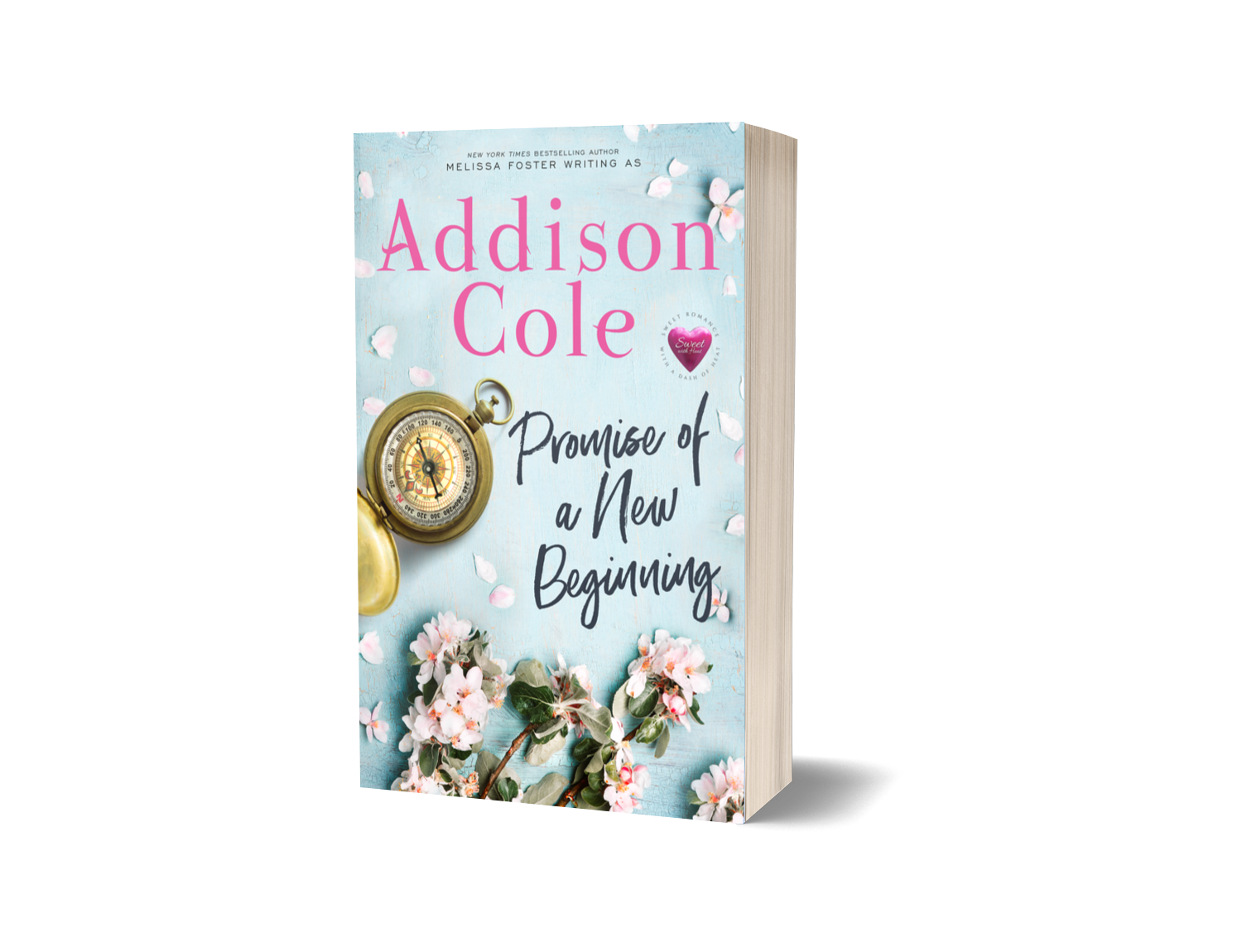 Promise of a New Beginning Paperback